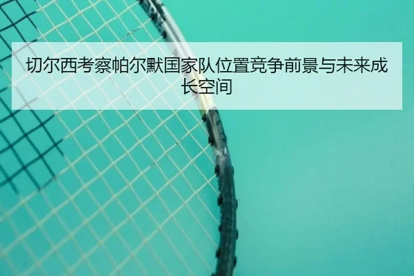 切尔西考察帕尔默国家队位置竞争前景与未来成长空间