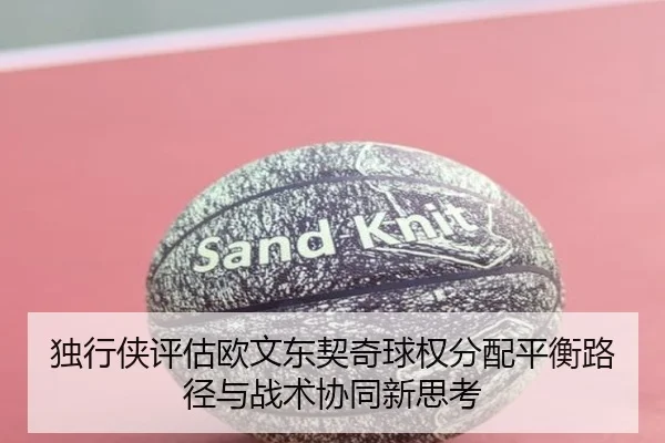 独行侠评估欧文东契奇球权分配平衡路径与战术协同新思考